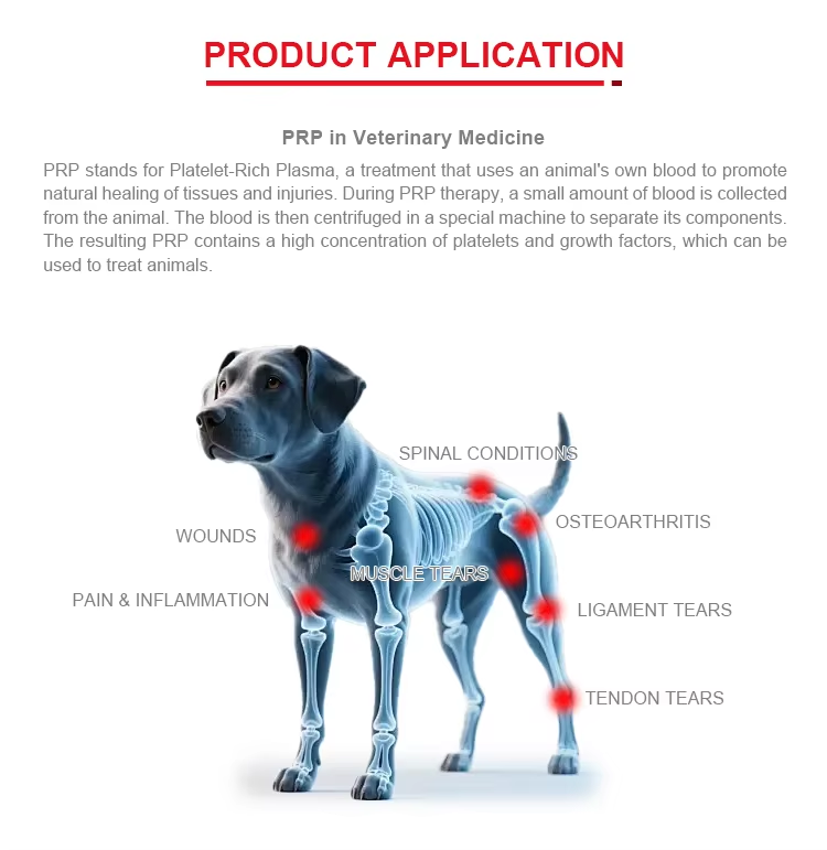 PRP Tube for Dogs
