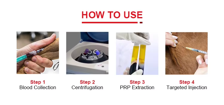 PRP Tube for Dogs