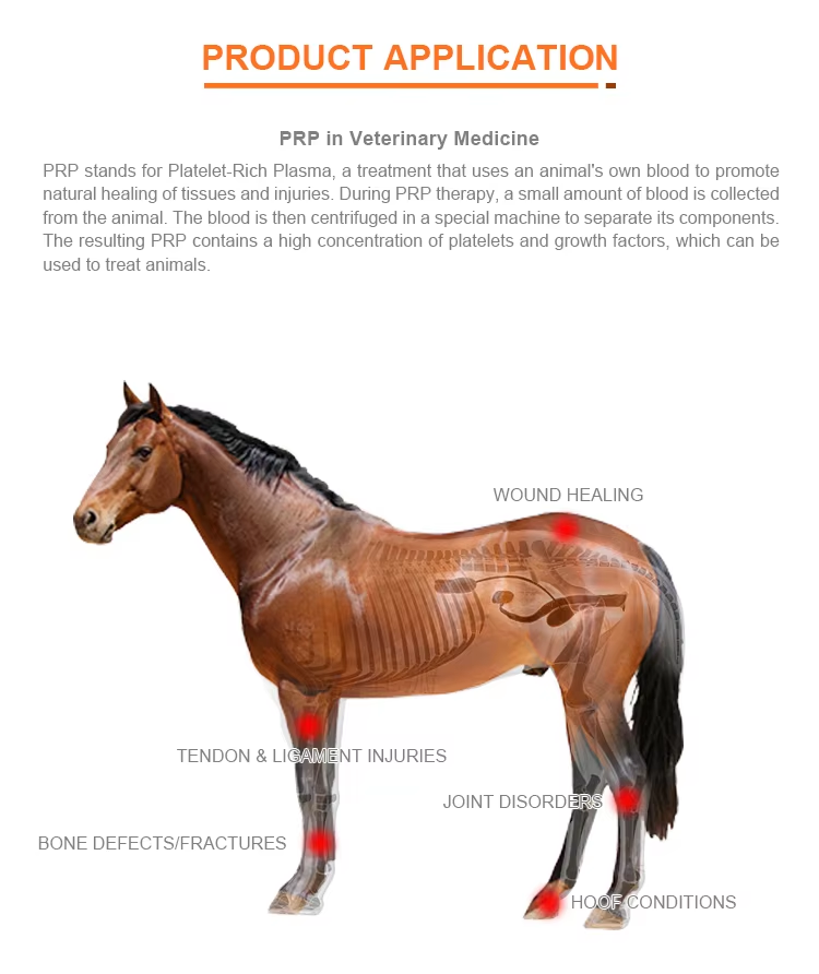 Horse PRP Collection Tube 10ml
